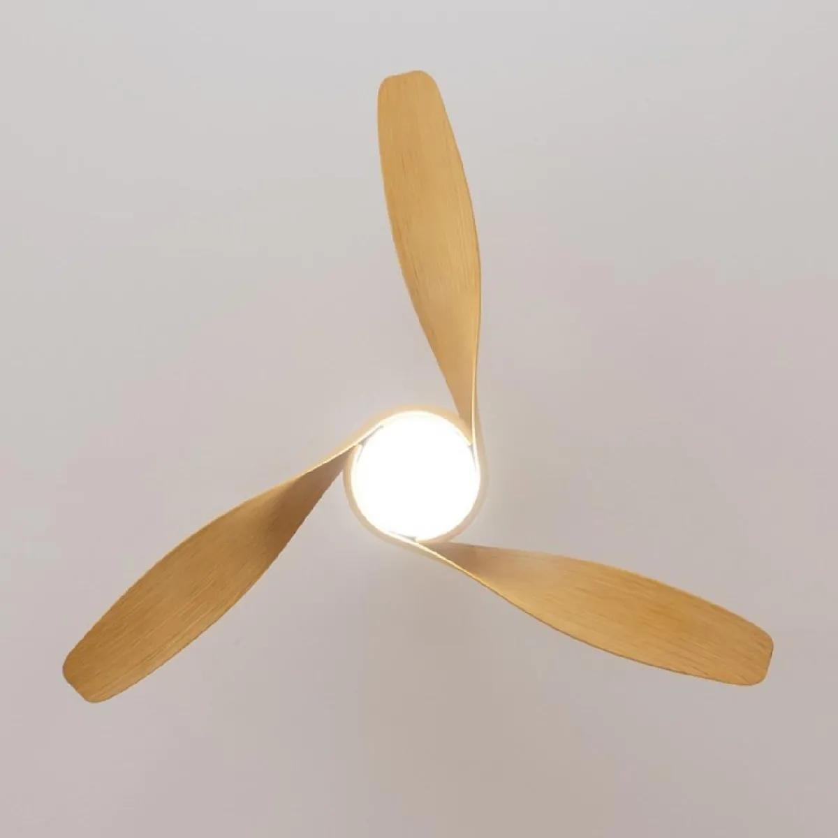 Sale MyMobel Cecotec Ventiladores de techo con luz EnergySilence Aero 5290 LightWood