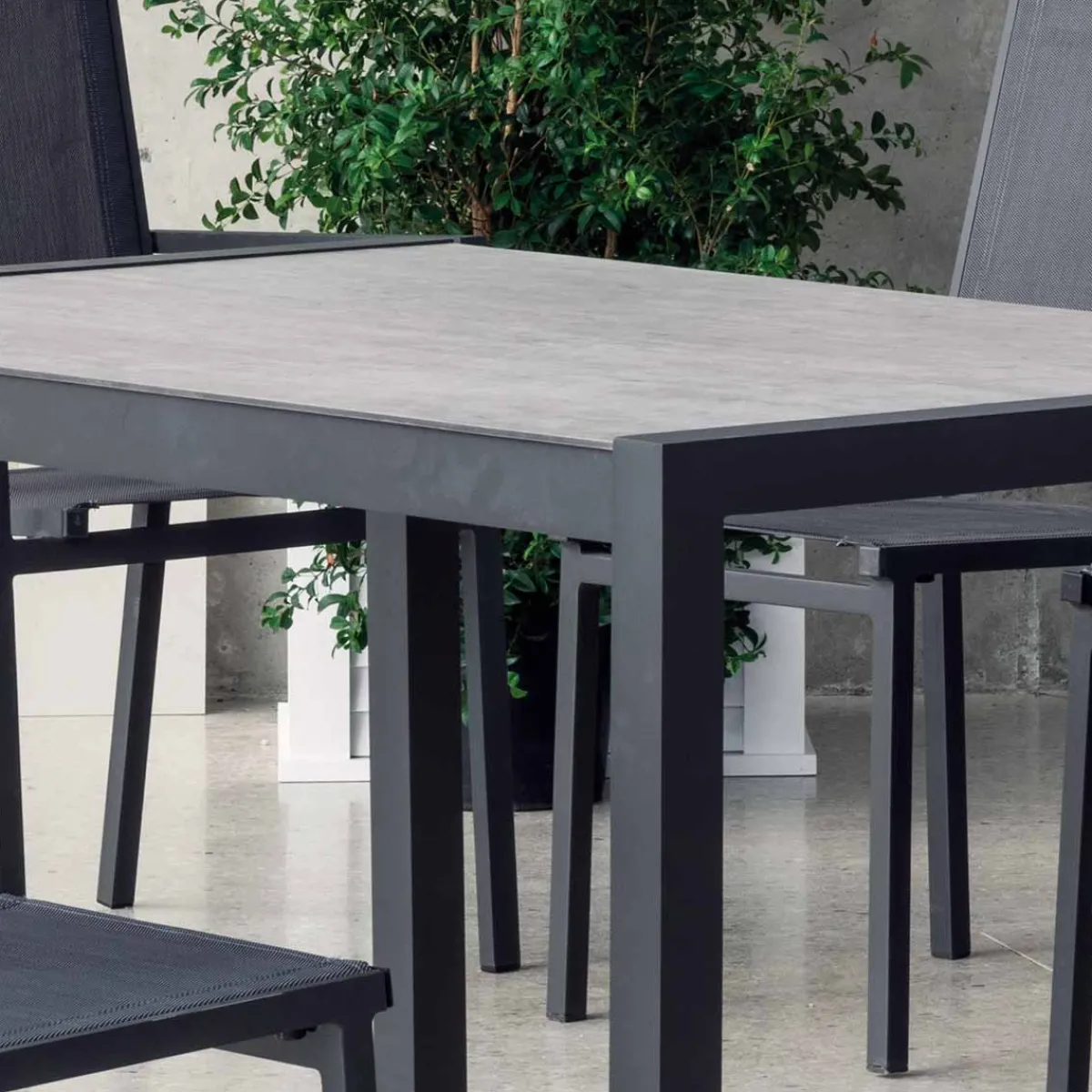 Online MyMobel Conjunto de jardín TELGAR 2