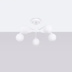 Fashion MyMobel Sollux Araña ASTRAL 5 blanca N/A