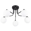 Discount MyMobel Sollux Araña ASTRAL 5 negra N/A